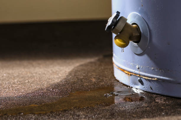 Best Professional water damage repair  in St Matthews, KY