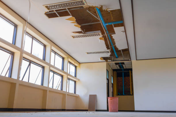 Best Flooded house restoration  in St Matthews, KY