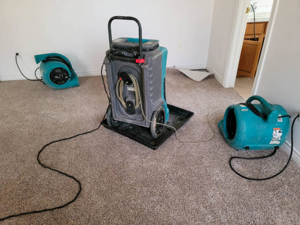 Best Sewage cleanup and water damage restoration  in St Matthews, KY