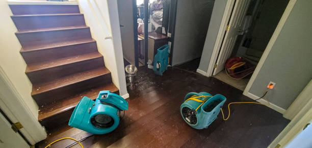 Best Commercial water damage restoration  in St Matthews, KY