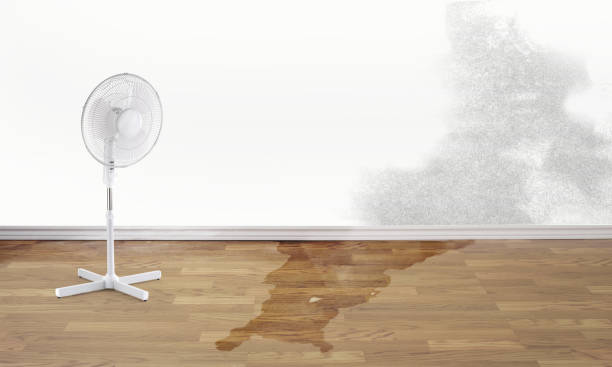 Best Emergency water damage restoration  in St Matthews, KY