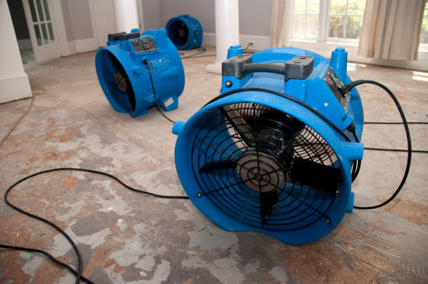 Best Sewage cleanup and water damage restoration  in St Matthews, KY