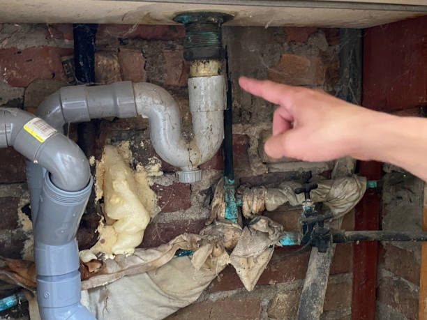Best Water damage cleanup near me  in St Matthews, KY