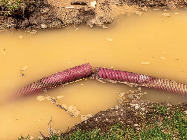 Best Residential water damage restoration  in St Matthews, KY