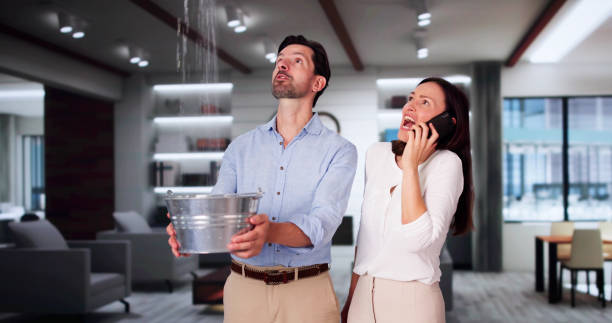 Best Ceiling water damage repair  in St Matthews, KY