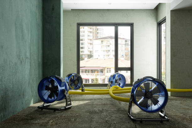Best Water damage restoration insurance claims  in St Matthews, KY